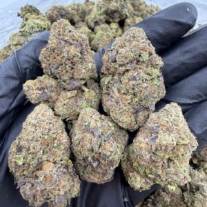 BLUEBERRY FUNDIP WEED