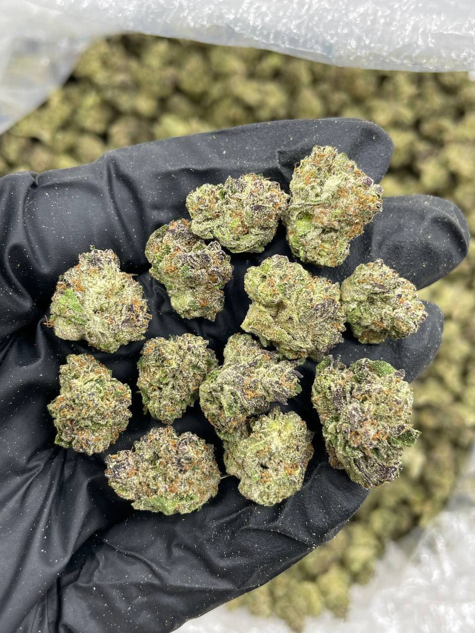 PURPLE RAIN SMALLS WEED