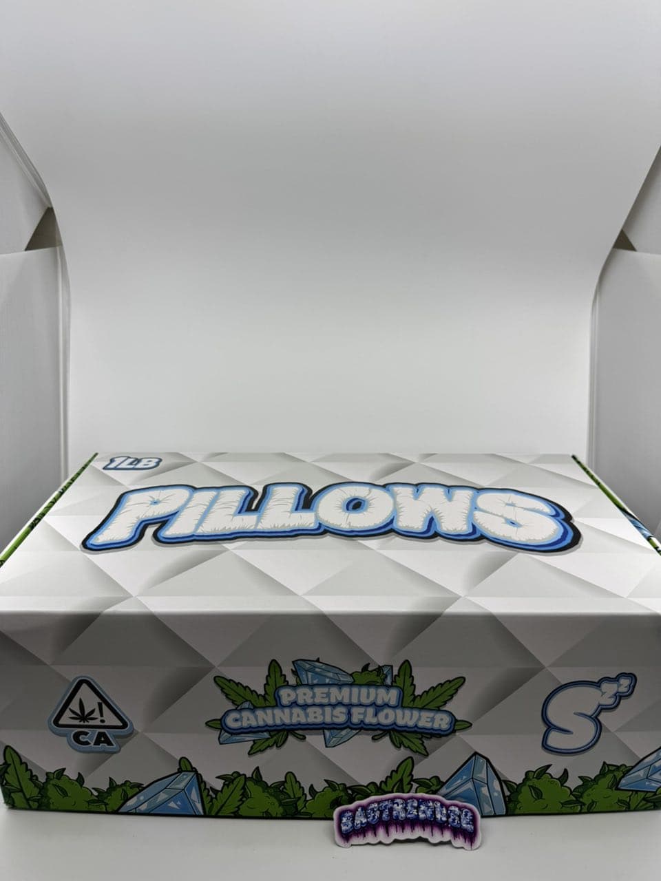 PILLOWS ASSORTED FLOWER