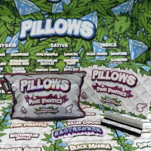 PILLOWS ASSORTED FLOWER