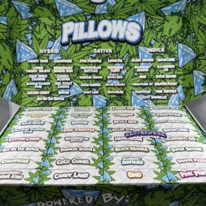 PILLOWS ASSORTED FLOWER