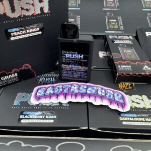 BUY PUSH 2G DISPOSABLE ONLINE