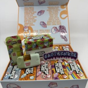 FAVORITES 2G MINIS DISPOSABLE