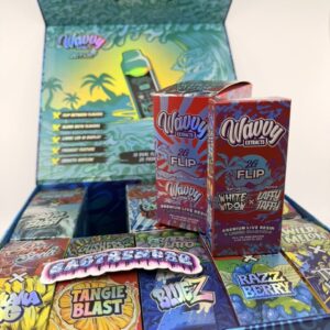 Wavvy Extracts 2G Flip Disposable